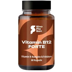 VITAMIN B12 FORTE 500 μg Methylcobalamin Kapseln 60 St