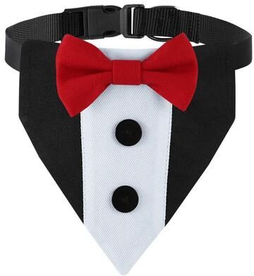 Uplifted Finds Sucado Distinguished Gentleman Wedding Bandana & Collar c s