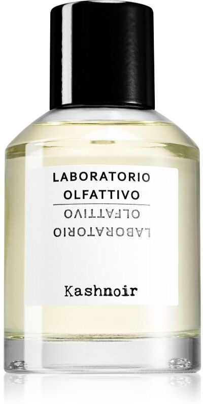 Laboratorio Olfattivo Kashnoir Eau de Parfum mixte 100 ml