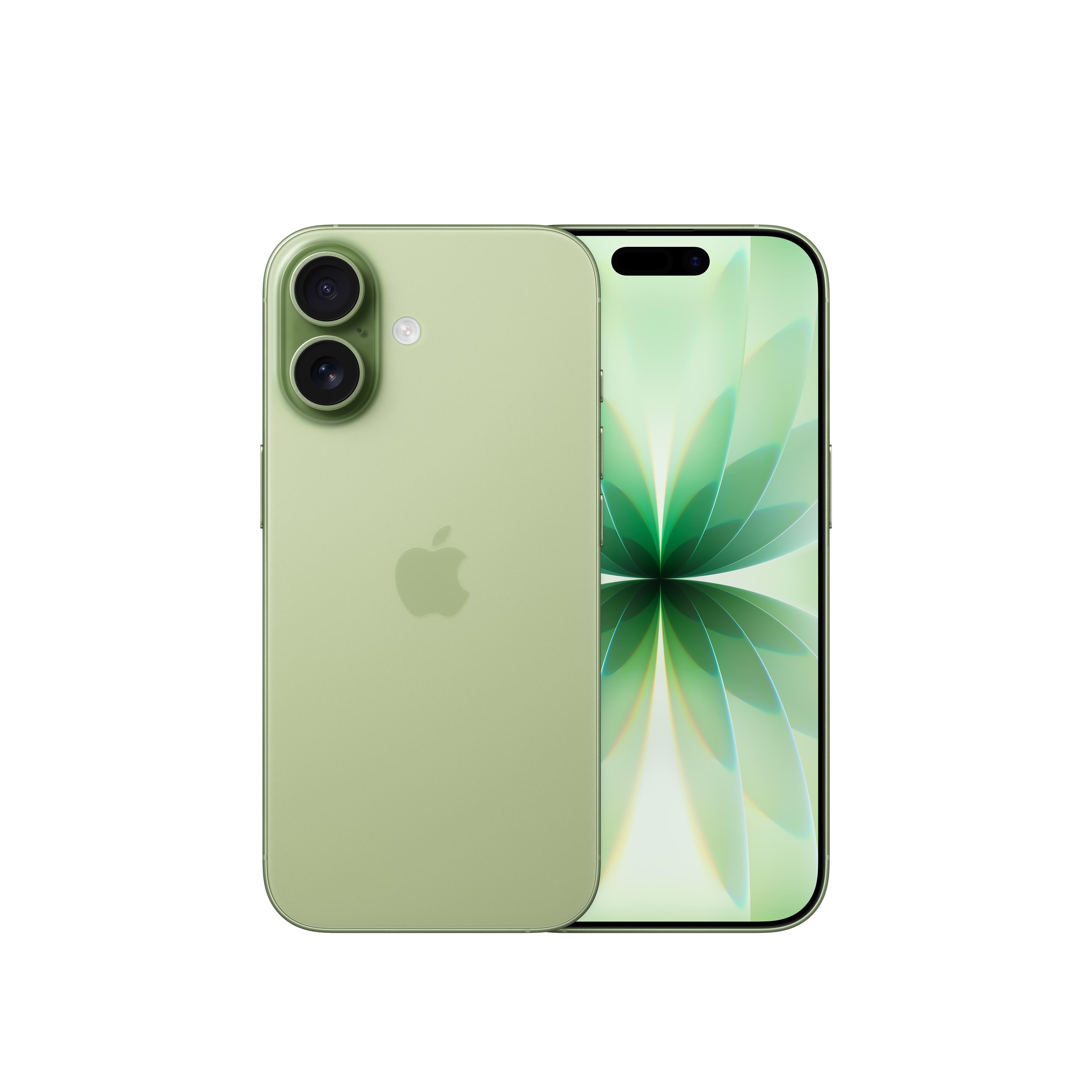Apple iPhone 17 256GB Salbei MG6N4ZD/A