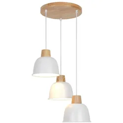 Zuma Line 003064-027537 Pendelleuchte ORLO E27