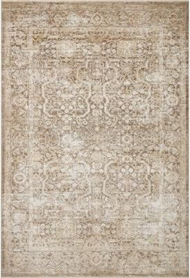 Alexander Home Sommet Antique Oriental Area Rug