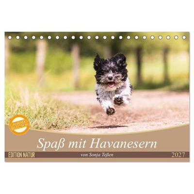 Spaß mit Havanesern (Tischkalender 2027 DIN A5 quer), CALVENDO Monatskalender