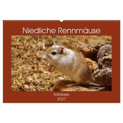 Niedliche Rennmäuse (Wandkalender 2027 DIN A2 quer), CALVENDO Monatskalender
