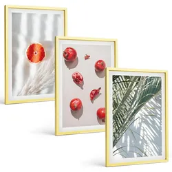 BILDER SET 3er Set - 40x60 cm Goldrahmen - Feiertagspalmenfrüchte
