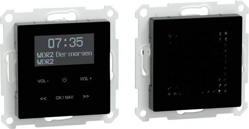 Merten Radio MEG4375-0303 1 St.