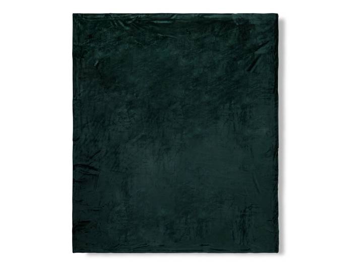 Plaid Uni 160 x 180cm Vert/Vert foncé Microfibre/Velours