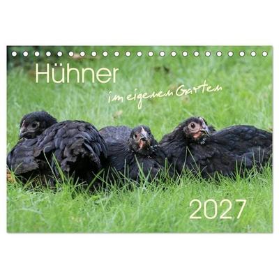 Hühner im eigenen Garten (Tischkalender 2027 DIN A5 quer), CALVENDO Monatskalender