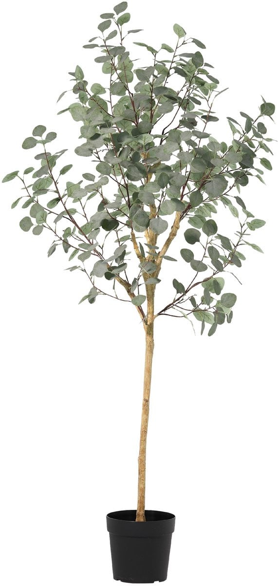 Florafy Kunstplant Eucalyptus 180cm - Onderhoudsvrije kunstplant voor binnen