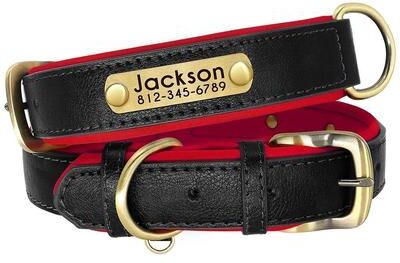 Uplifted Finds Customized Padded PU Leather Nameplate Collar black m