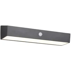Reality, Gartenbeleuchtung, R23306102 Silves LED Wandleuchte 6W Schwarz IP44 neutralweiss (IP44)