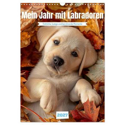 Mein Jahr mit Labradoren (Wandkalender 2027 DIN A3 hoch), CALVENDO Monatskalender