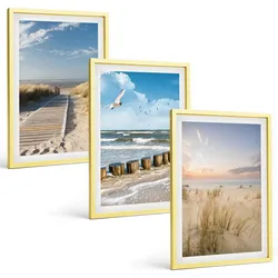 BILDER SET 3er Set - 40x60 cm Goldrahmen - Strand, Sand, Wellen, Himmel, Vögel
