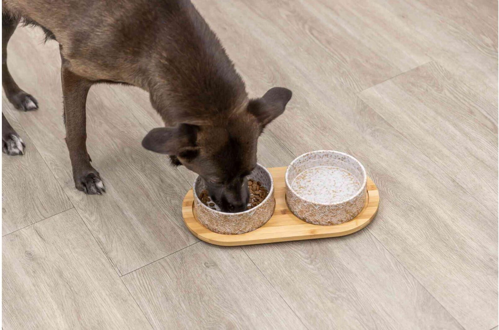 Futternapf TRIXIE "Napf-Set 2 x 0.8 l, 39 x8 x 20 cm", beige (braun, weiß), B:22cm H:20cm T:21,52cm Ø:16cm, Näpfe, Futternapf, Für Nass- und Trockenfutter geeignet, Rutschfest braun, weiß Einheitsgröße