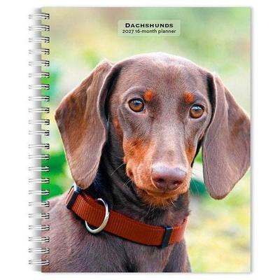 Dachshunds 2027 6 X 7.75 Inch Spiral-Bound Wire-O Weekly Engagement Planner Calendar New Full-Color Image Every Week