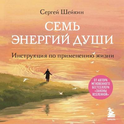 Sem energiy dushi. Instruktsiya po primeneniyu zhizni - Sergey Sheykin, Audio, 9785042432729
