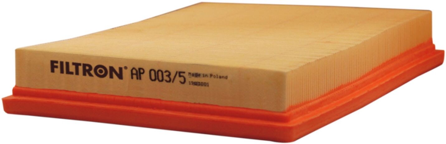 FILTRON AP 003/5 Luftfilter
