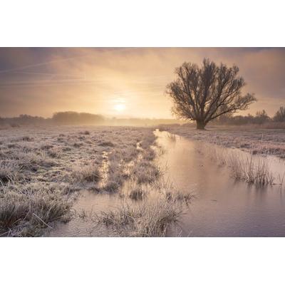 Fototapete PAPERMOON "Winterlandschaft", bunt, B:2m L:1,49m, Vlies, Tapeten