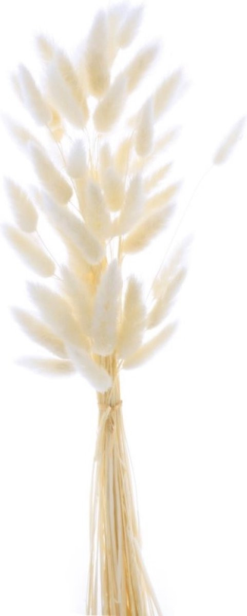 Boeket van gedroogde bloemen Artemio