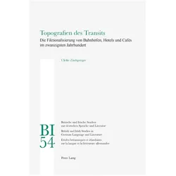 Topografien des Transits, Fachbücher von Ulrike Zitzlsperger