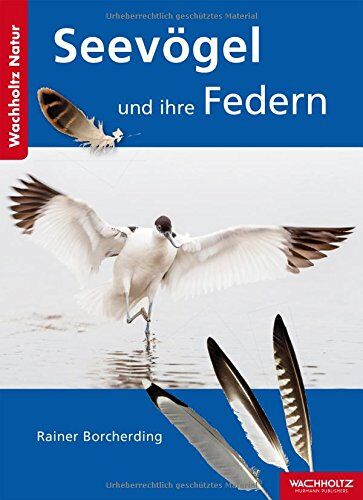 Rainer Borcherding - Seevögel und ihre Federn - Preis vom 09.10.2026 07:28:09 h