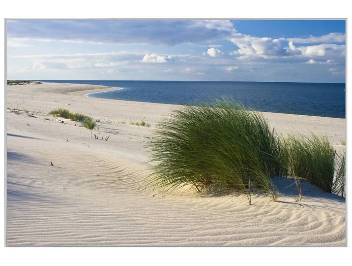 Bild mit Rahmen Strand mit Dünengras image LAND