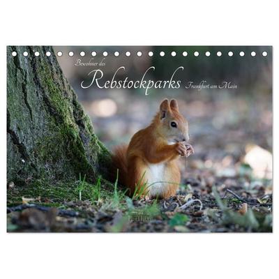 Bewohner des Rebstockparks Frankfurt am Main (Tischkalender 2026 DIN A5 quer), CALVENDO Monatskalender