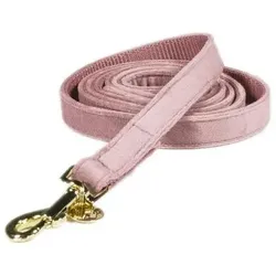 Kentucky Horsewear Velvet (S, Hund), Halsband + Leine