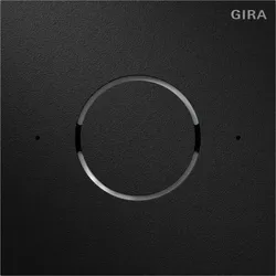Gira Sprachmodul IP Schwarz matt (lackiert) 5592925