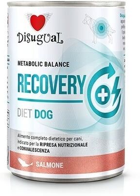Disugual Recovery com Salmão 6 uds x 400g