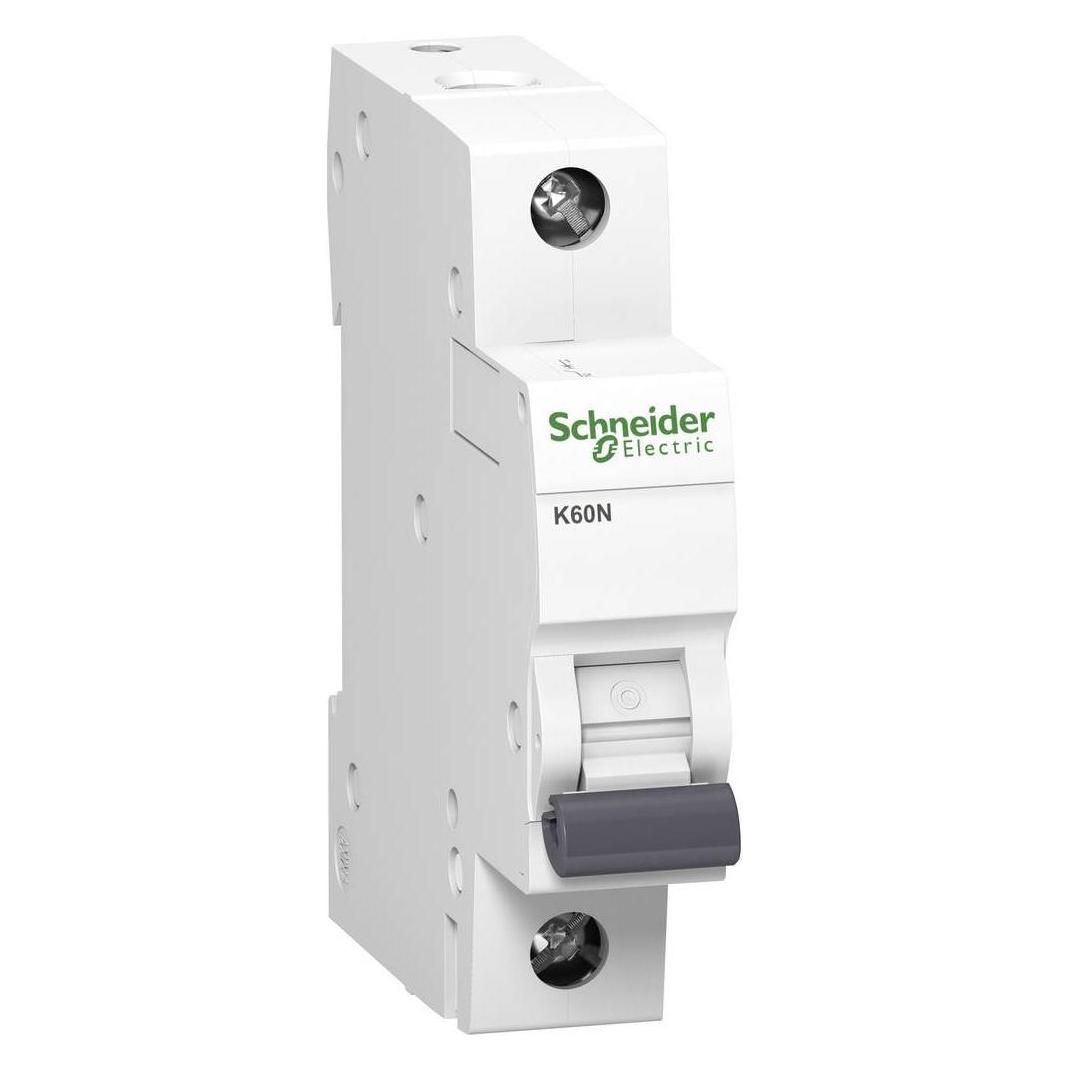 Schneider Electric K60N (3814614)