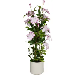 Kunstpflanze CLEMATIS (LBH 35x35x98 cm) - bunt - LBH 35x35x98 cm