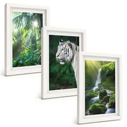 BILDER SET 3er Set - 20x30 cm Weißer Rahmen - Dschungeltigerwasserfall
