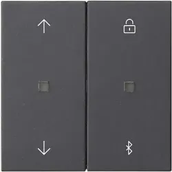Gira Jalousie- + Schaltuhr Bluetooth Sys.55 Ant 536728