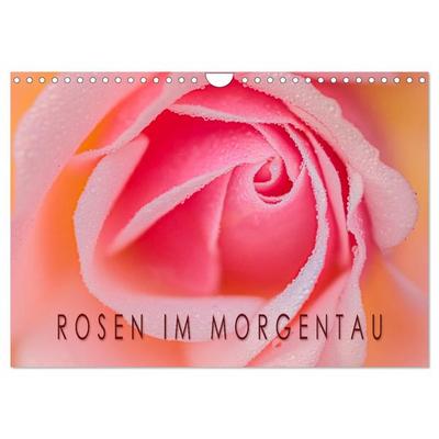 Rosen im Morgentau (Wandkalender 2026 DIN A4 quer), CALVENDO Monatskalender