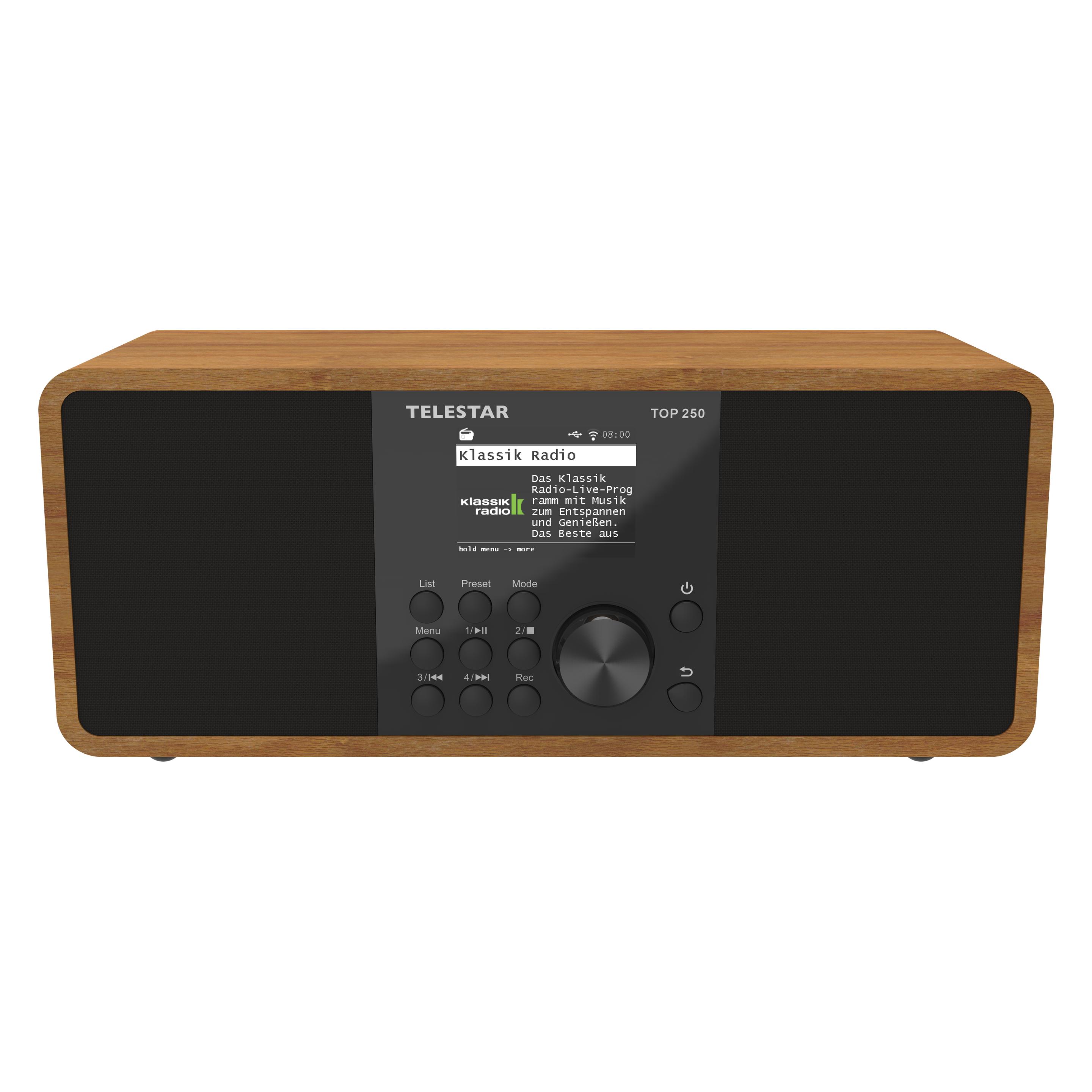 Telestar Top 250 (DAB+, FM, Internetradio, Bluetooth, WLAN) (5701250)
