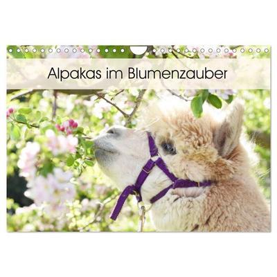 Alpakas im Blumenzauber (Wandkalender 2027 DIN A4 quer), CALVENDO Monatskalender