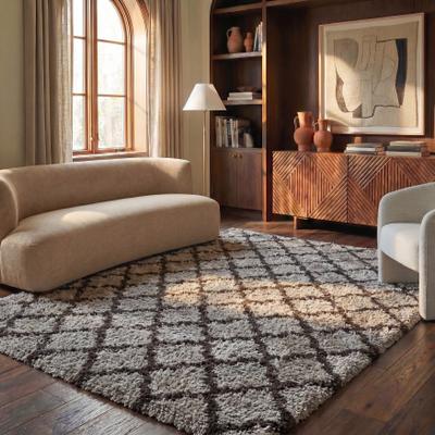 SAFAVIEH Indie Shag Humeyra 2-inch Thick Rug