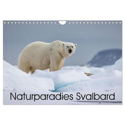 Naturparadies Svalbard (Wandkalender 2027 DIN A4 quer), CALVENDO Monatskalender
