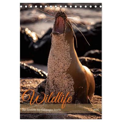 Wildlife - Die Tierwelt der Galapagos Inseln (Tischkalender 2027 DIN A5 hoch), CALVENDO Monatskalender