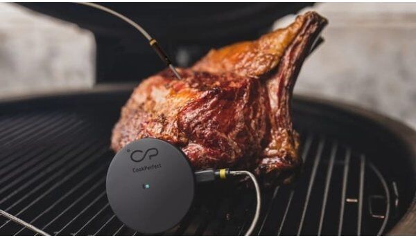 Witt Cookperfect Comfort Enkel Stegetermometer