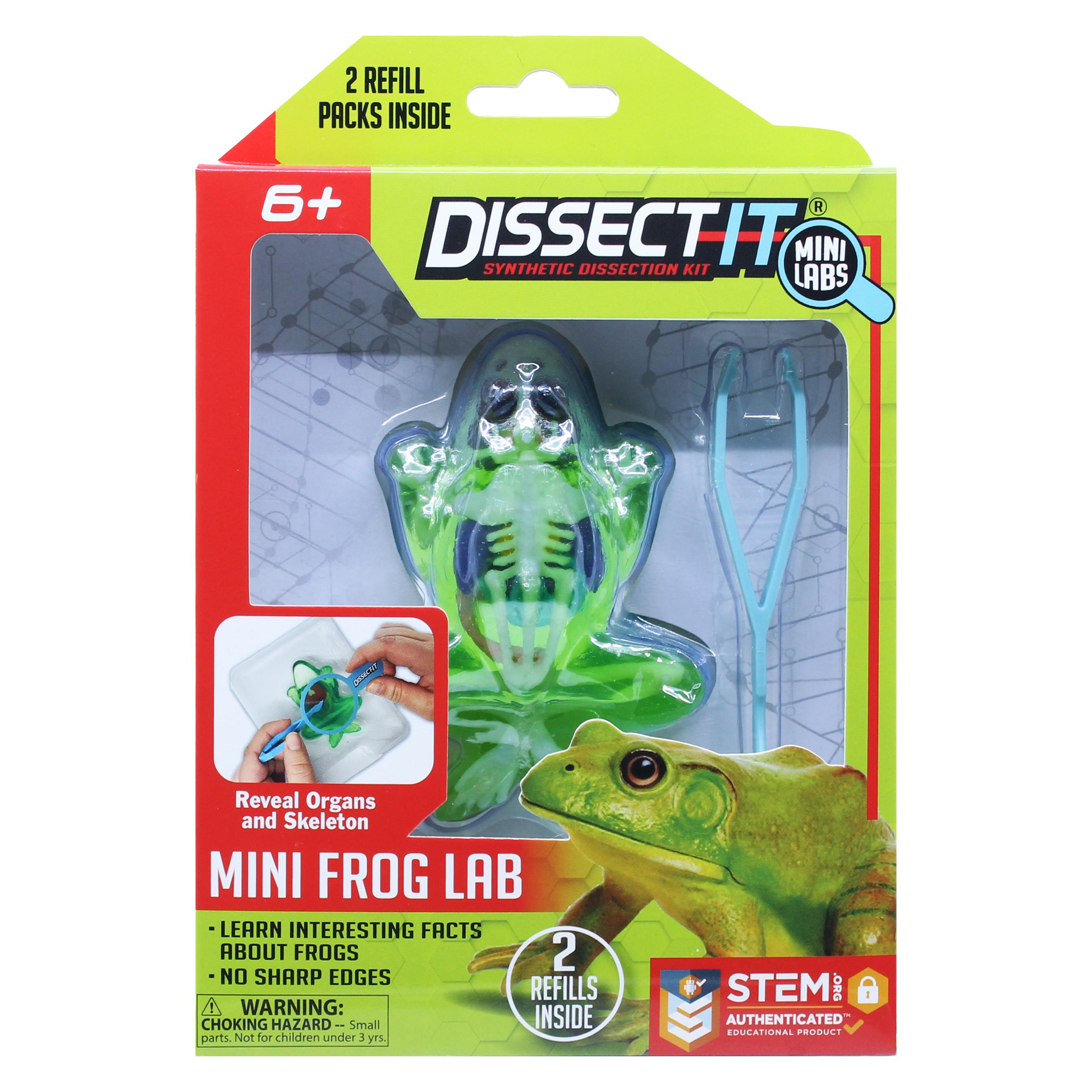 Sensory Compunds DISSECT-IT: Einen Frosch mit einer Lupe sezieren (12-38083)
