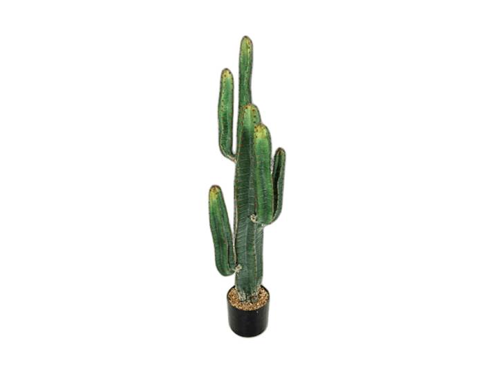 Lebensechte Kunstpflanze „Cereus Cactus“, Ø 30 x 115 cm Grün Baq Design