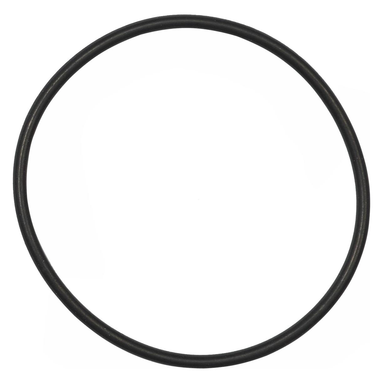 Bosch eBike O-Ring zur Montage des Kettenblatt in Kombination mit Lockring BDU2xx (181732)