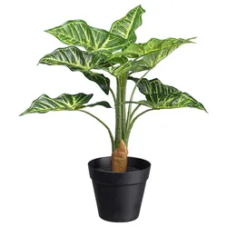 Kunstpflanze Syngonium II in Grün