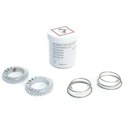 DT SWISS Service Kit Zahnscheibenfreilauf | 18 Zähne für Ratchet Sys