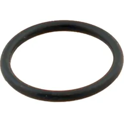 Wolf O-Ring Dichtung 23,47x2,62 3910126 für CGB