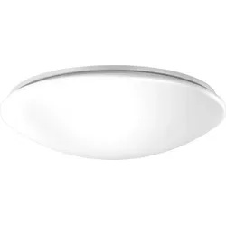 RZB LED-Decken-/Wandleuchte 311518.002.7