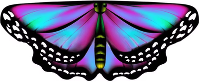 Inspire Curations Kids Butterfly Wings Cape Colorful Fairy Shawl Fancy Dress Costume 4