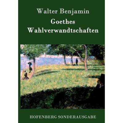 Goethes Wahlverwandtschaften, Gebundene Ausgabe von Walter Benjamin, Hofenberg, 978-3-8430-8424-6